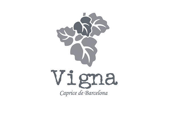 Social Media y Content Marketing para Vigna