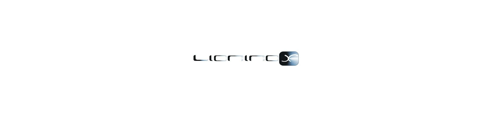 Lioninox, nuevo cliente de posicionamiento SEO en Alemania