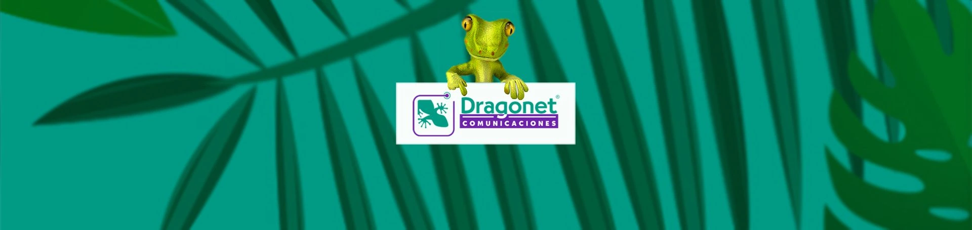 Dragonet Comunicaciones, nueva página web en Valencia.