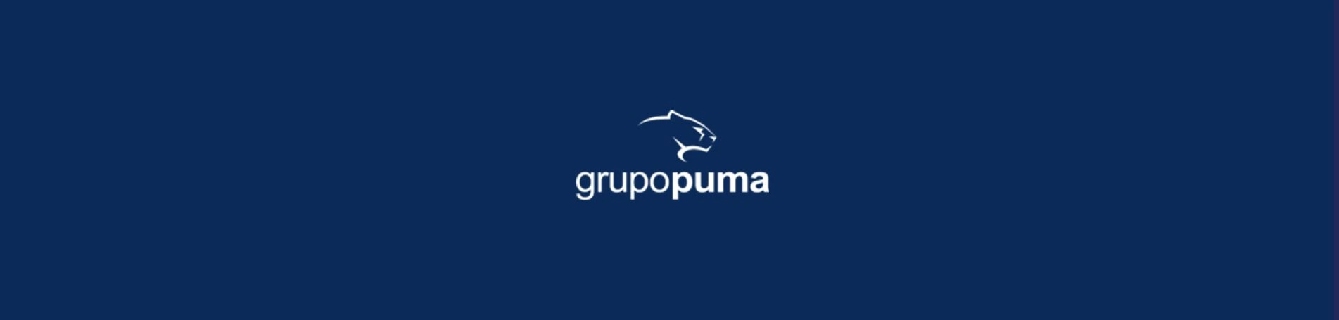 Grupo Puma, auditoría SEO