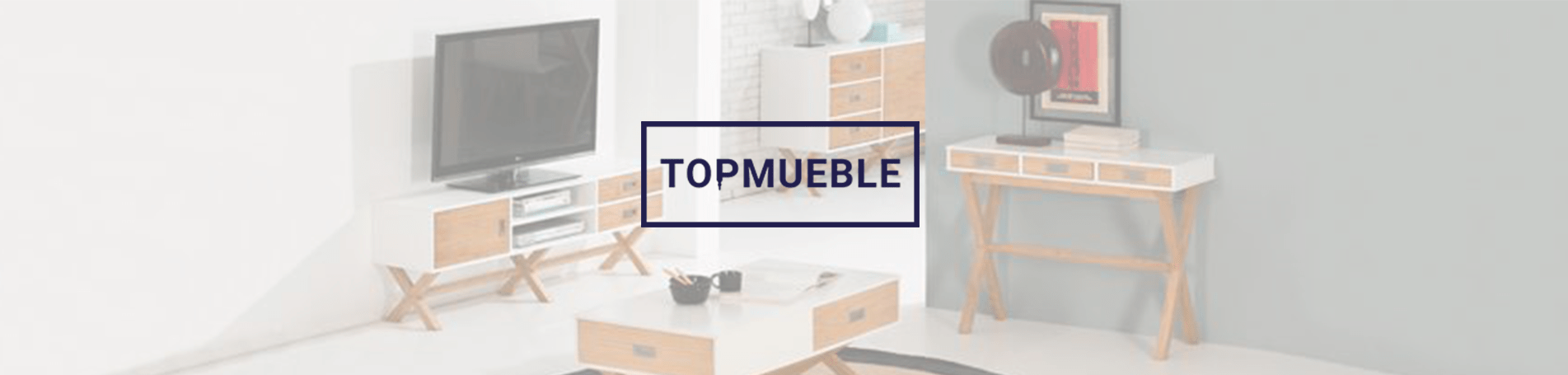 Top Mueble, Lifting Group’s new online SEO & Reputation client